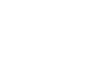 Great Lakes Bat